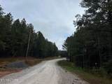  Ballplay Road Lot 30 - Photo 4