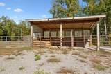 2025 Allardt Tinch Rd - Photo 41