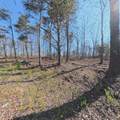  Claysville Road Lot 4 Rd - Photo 4
