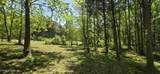 Lot 78 Harbor Ridge Lane - Photo 11