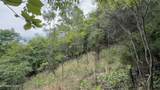 211 Blackstone Lane - Photo 17