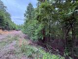 211 Blackstone Lane - Photo 9