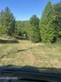 407 Earl Maples Lane - Photo 11