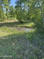 407 Earl Maples Lane - Photo 12