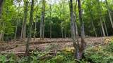 4320 Barnes Hollow Rd - Photo 12