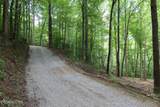 4320 Barnes Hollow Rd - Photo 14