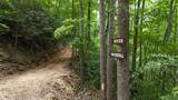 4320 Barnes Hollow Rd - Photo 16