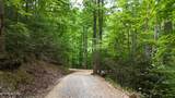 4320 Barnes Hollow Rd - Photo 19