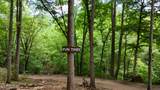 4320 Barnes Hollow Rd - Photo 24