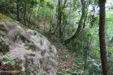 4320 Barnes Hollow Rd - Photo 27