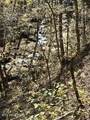 0 Barnes Hollow Rd - Photo 10