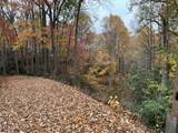 0 Barnes Hollow Rd - Photo 13