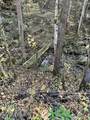 0 Barnes Hollow Rd - Photo 9