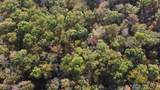 42+- Acres Dogwood Rd - Photo 7
