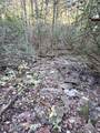 50+- Acres Dogwood Rd - Photo 10