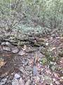 50+- Acres Dogwood Rd - Photo 11