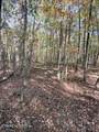 50+- Acres Dogwood Rd - Photo 13