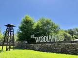 1121 Tree Top Way 1421 - Photo 47