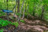 1043 Reagan Springs Rd - Photo 45