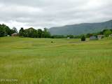 Lot 13 County Line Rd - Photo 12