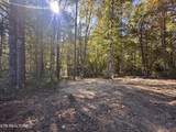 18.6 Ac Cave Branch Rd - Photo 1