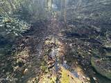 18.6 Ac Cave Branch Rd - Photo 12