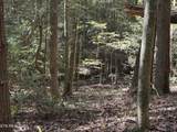 18.6 Ac Cave Branch Rd - Photo 13