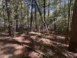 18.6 Ac Cave Branch Rd - Photo 17