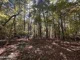 18.6 Ac Cave Branch Rd - Photo 18