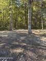 18.6 Ac Cave Branch Rd - Photo 2