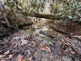 18.6 Ac Cave Branch Rd - Photo 4