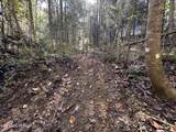 18.6 Ac Cave Branch Rd - Photo 7
