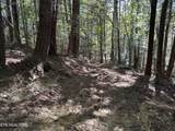 18.6 Ac Cave Branch Rd - Photo 9