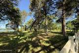 308 Mcreynolds Rd - Photo 4