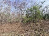Lot 110 Harness Lane - Photo 11