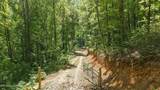 77 & 1-2 Chilhowee Tr - Photo 24