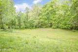 355 Eli Lane - Photo 41