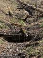 335 Nelson Cemetery Rd - Photo 28
