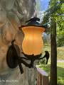 970 Douglas Dam Rd - Photo 35