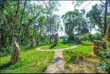 970 Douglas Dam Rd - Photo 45