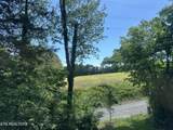 970 Douglas Dam Rd - Photo 8