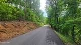 0 Paradise Ridge Drive - Photo 11