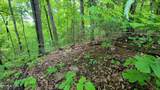 0 Paradise Ridge Drive - Photo 9