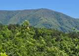 2759 Hatcher Mountain Rd - Photo 11