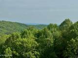 1102 Ski View Drive - Photo 3