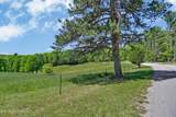  Panther Branch Rd - Photo 5