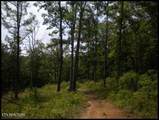 7681 Highway 68 - Photo 5