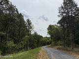 0 Baugh Hollow Lane - Photo 15