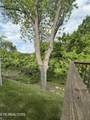 146 Mayapple Way - Photo 28