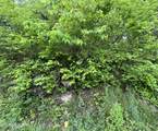 TBD Valley Creek Rd - Photo 16